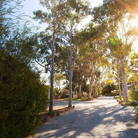 Tumby Bay Modra'S Apartments מראה חיצוני תמונה